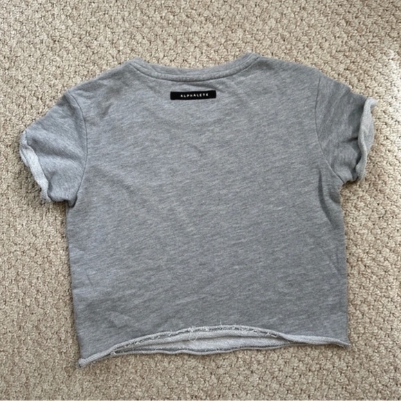 Alphalete Crop Top - Picture 2 of 3